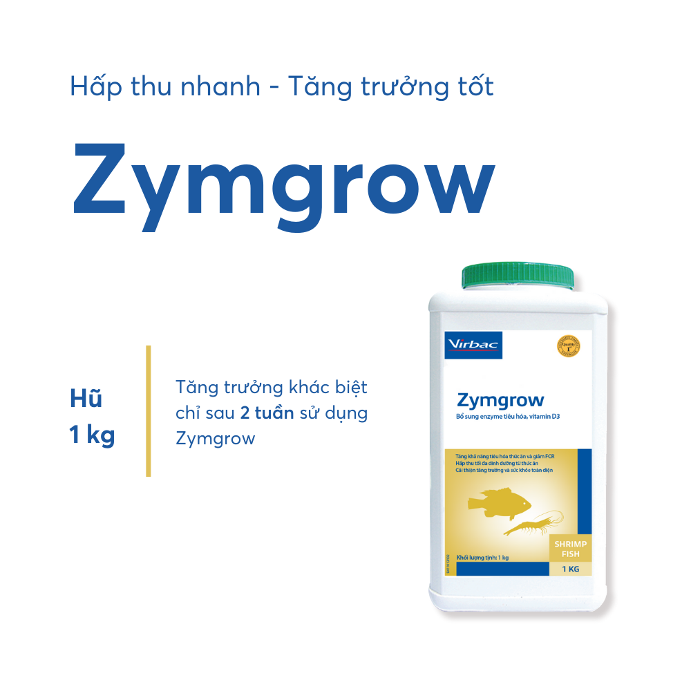 Zymgrow - Ảnh 2