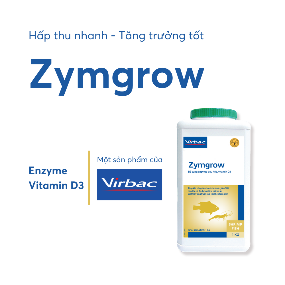 Zymgrow - Ảnh 3