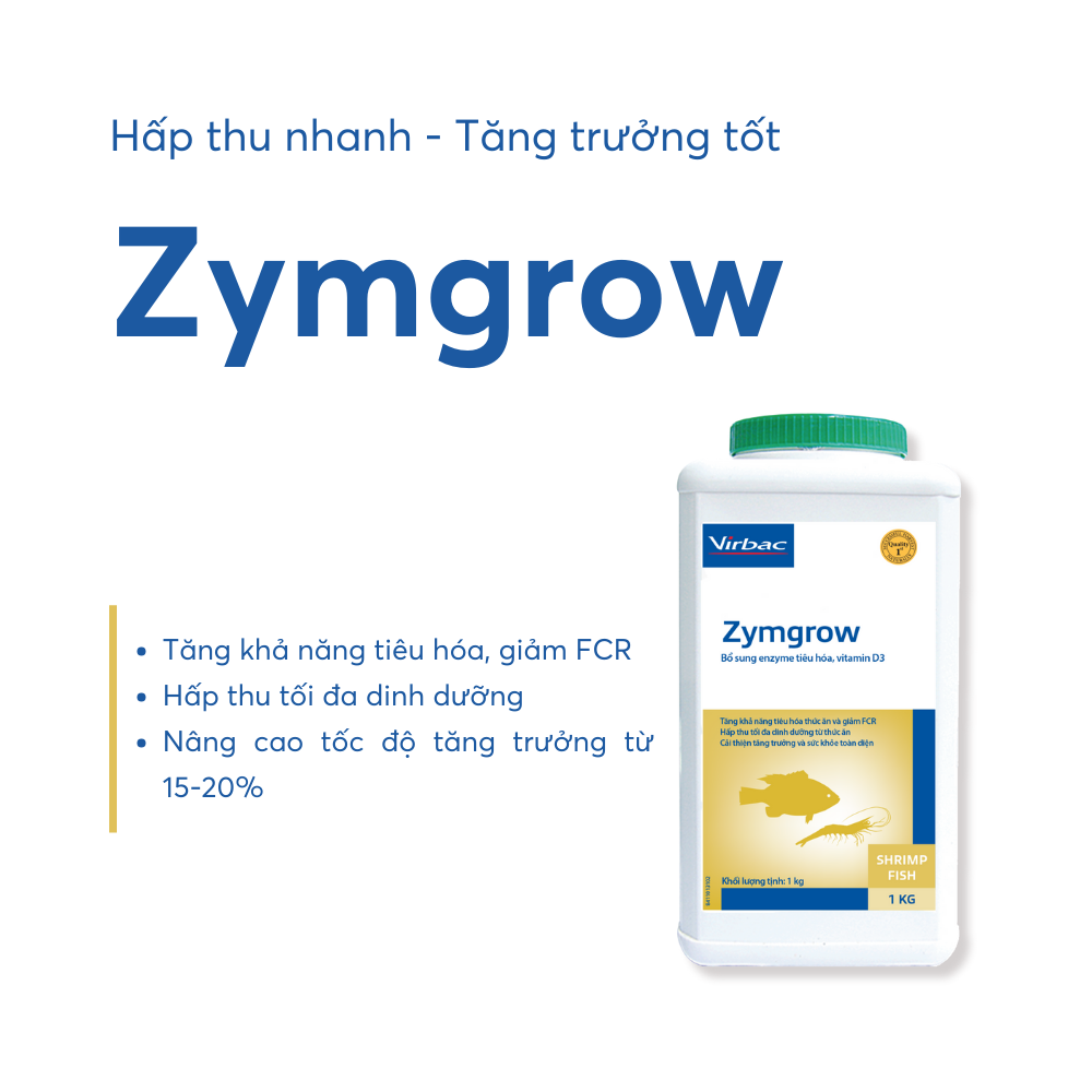 Zymgrow - Ảnh 4