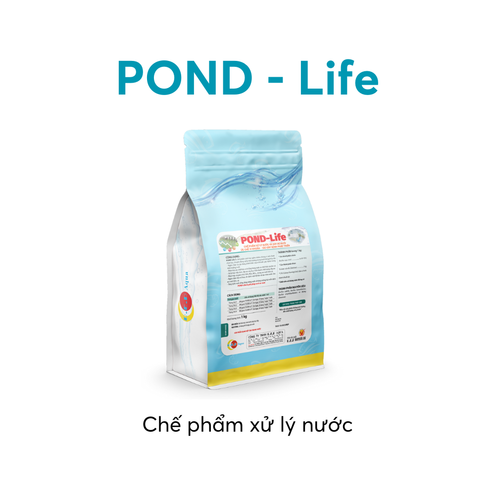 POND-Life - Ảnh 3