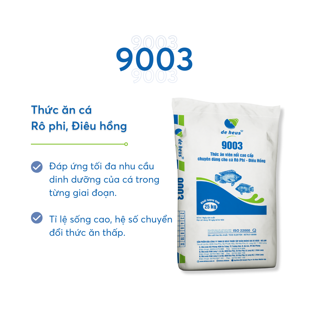 9003 - Ảnh 3