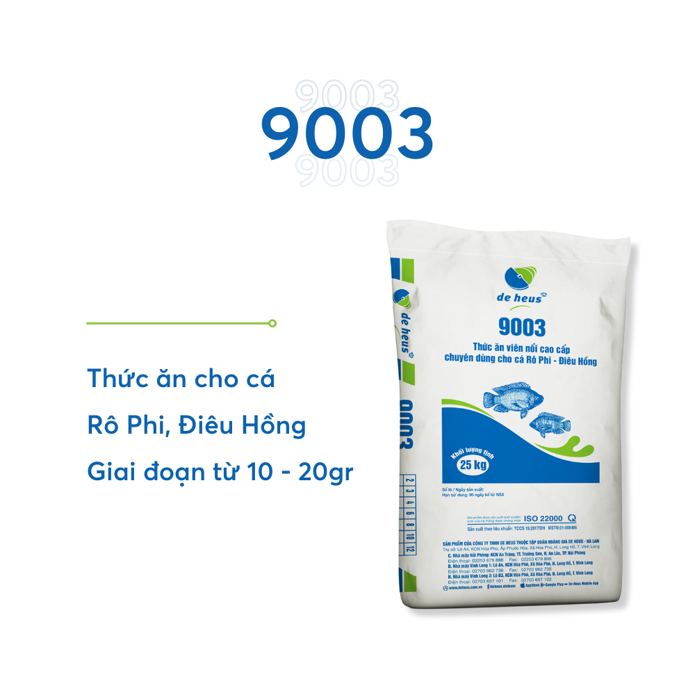 9003 - Ảnh 4