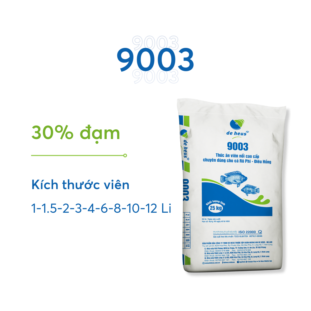 9003 - Ảnh 5