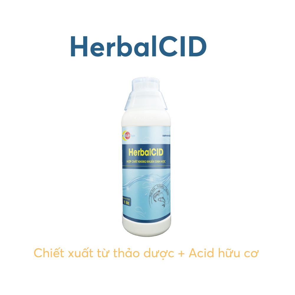 HerbalCID - Ảnh 4