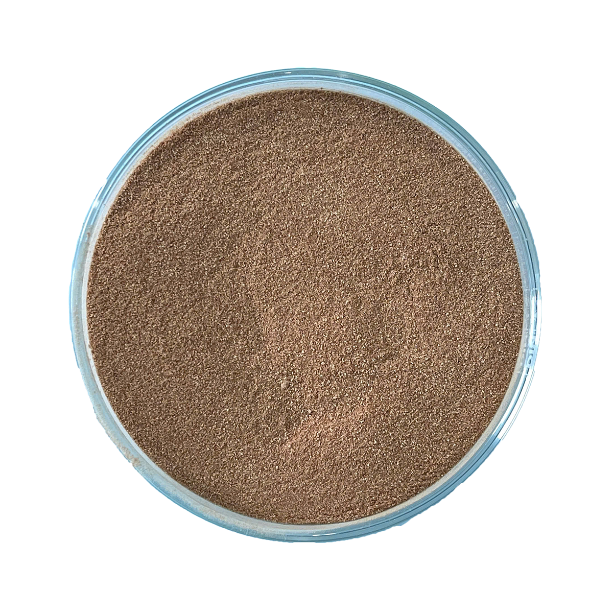 BACILLUS SUBTILIS (200bn) - Ảnh 3