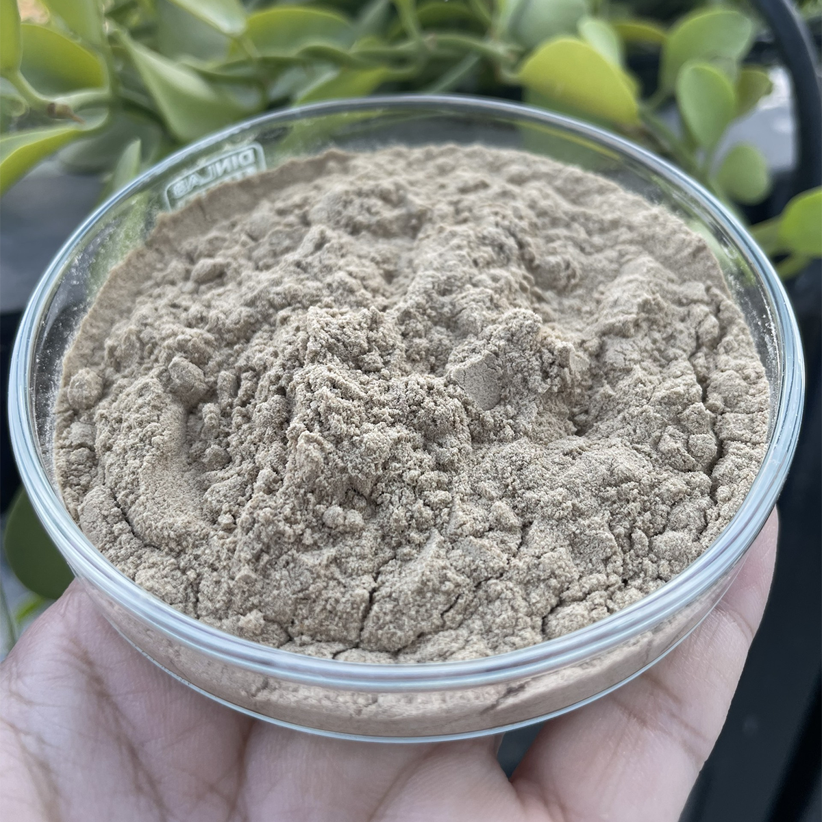 BETAGLUCAN - tăng cường sức đề kháng cho vật nuôi, tôm/cá - Ảnh 4