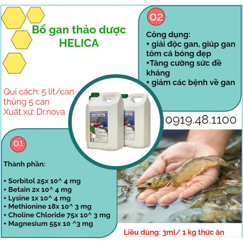HELICA - Ảnh 2