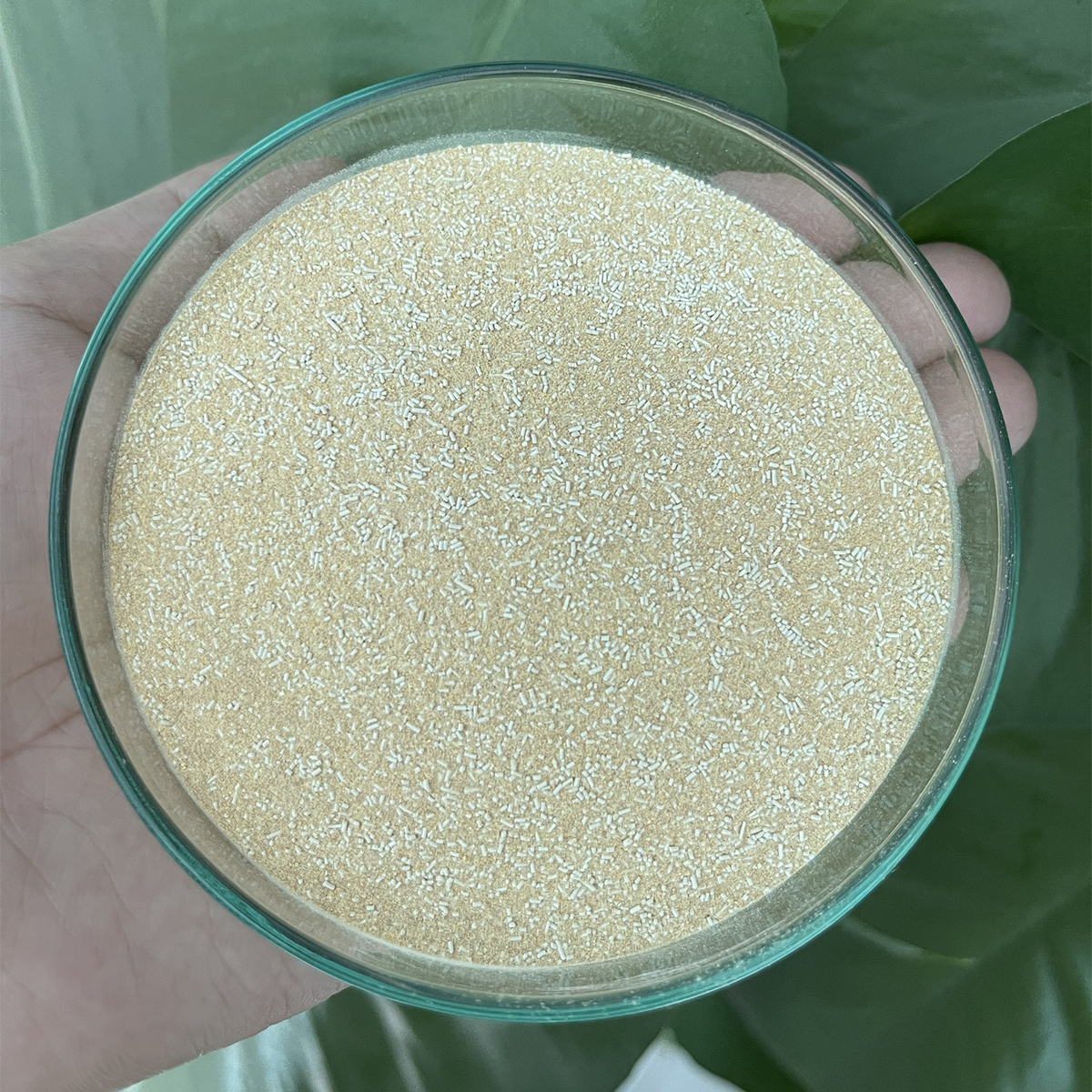 TEX PRO 3C - Ảnh 2