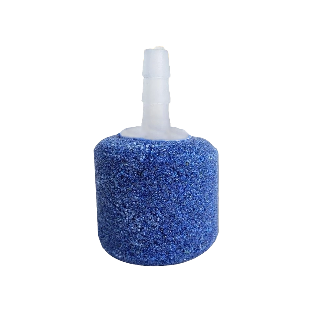 Đá bọt sục khí