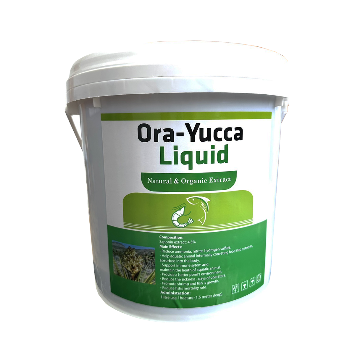 Yucca xử lý nước - Ảnh 4