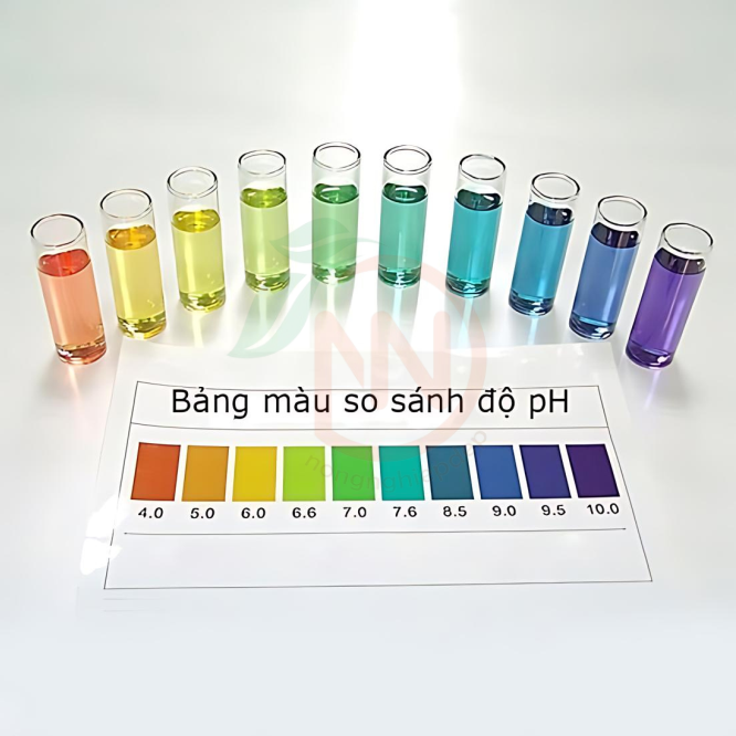 Dung dịch đo kiểm tra độ pH hồ cá cảnh Thủy Phước - Ảnh 5