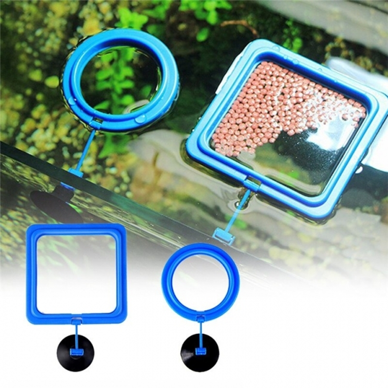 Vòng cho cá ăn - Vòng giữ cám nổi - Vòng giữ thức ăn trong hồ cá - Ảnh 2