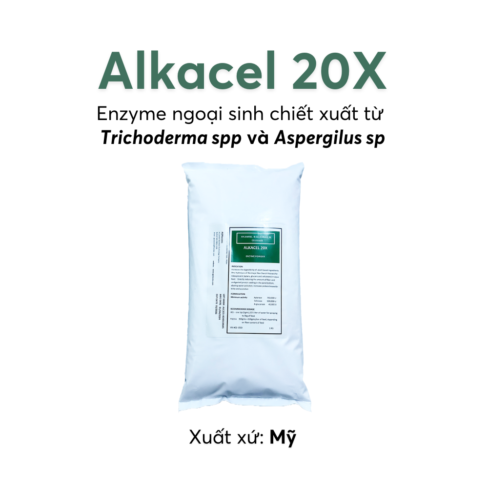 ALKACEL 20X - Ảnh 2