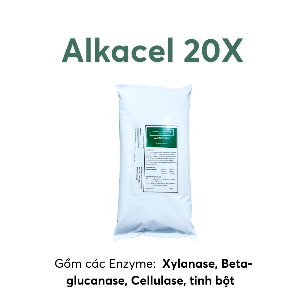 ALKACEL 20X - Ảnh 4