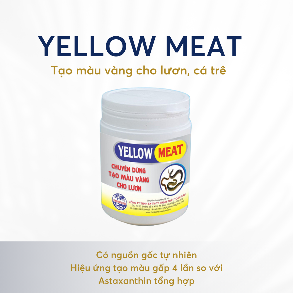YELLOW MEAT - Ảnh 2
