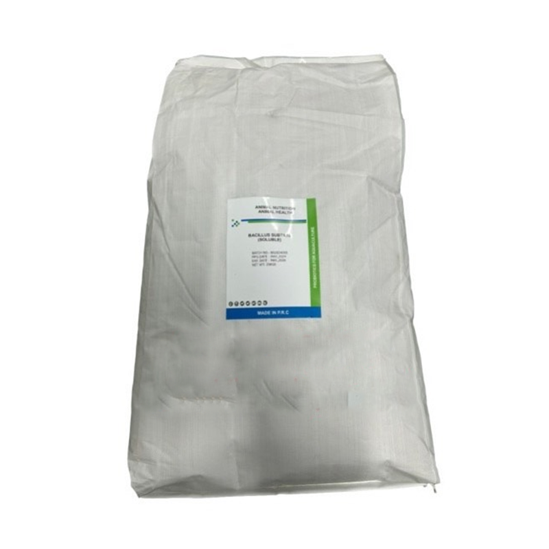 BACILLUS SUBTILIS (200BN) - Vi sinh bacillus subtilis tan hoàn toàn, hỗ trợ đường ruột và xử lý nước