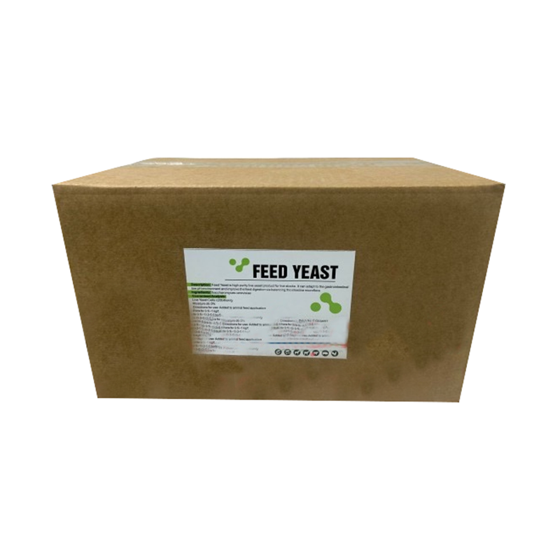 FEED YEAST – NẤM MEN SACCHAROMYCES CEREVISIAE ĐẬM ĐẶC