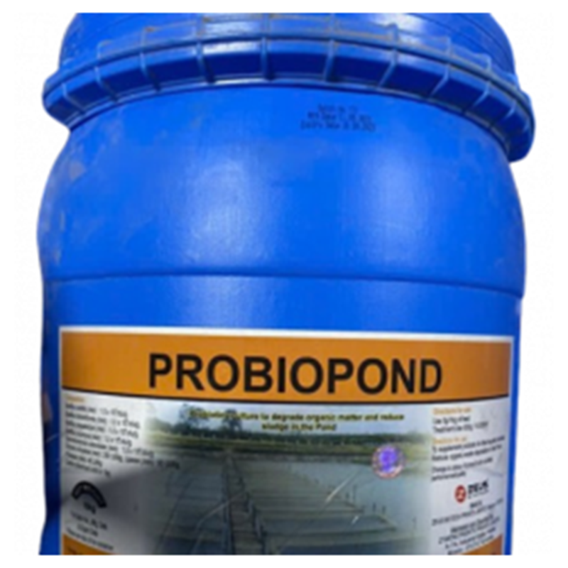PROBIOPOND - vi sinh Ấn Độ xử lý đáy ao, khí độc trong ao - Ảnh 3