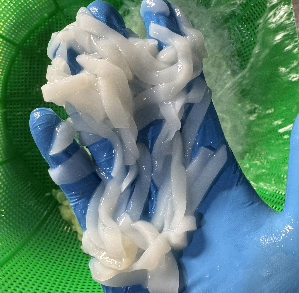 Thức ăn tôm bố mẹ - Mực Nam Mỹ Humboldt sạch bệnh cắt sợi - Ảnh 2