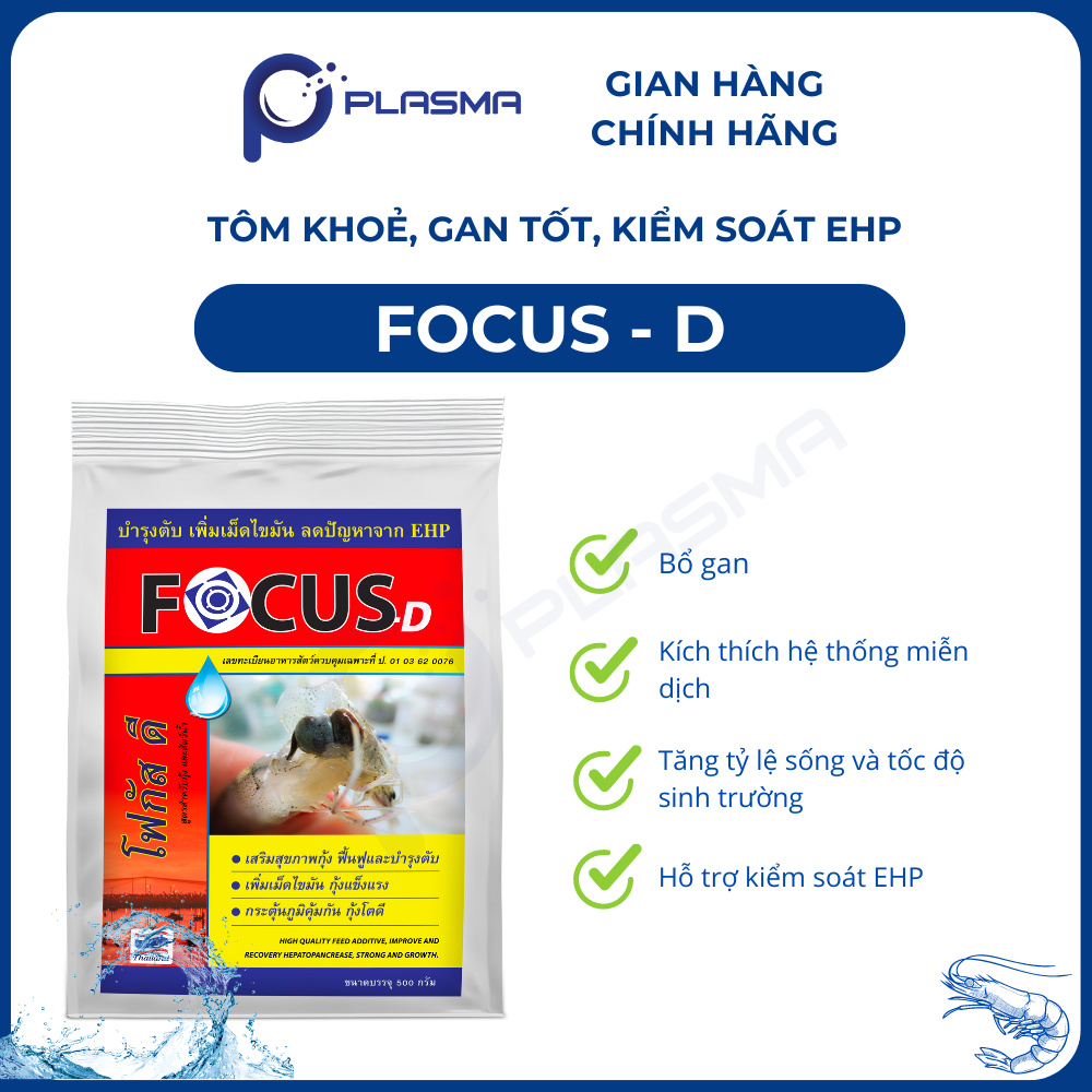 FOCUS D - Ảnh 4
