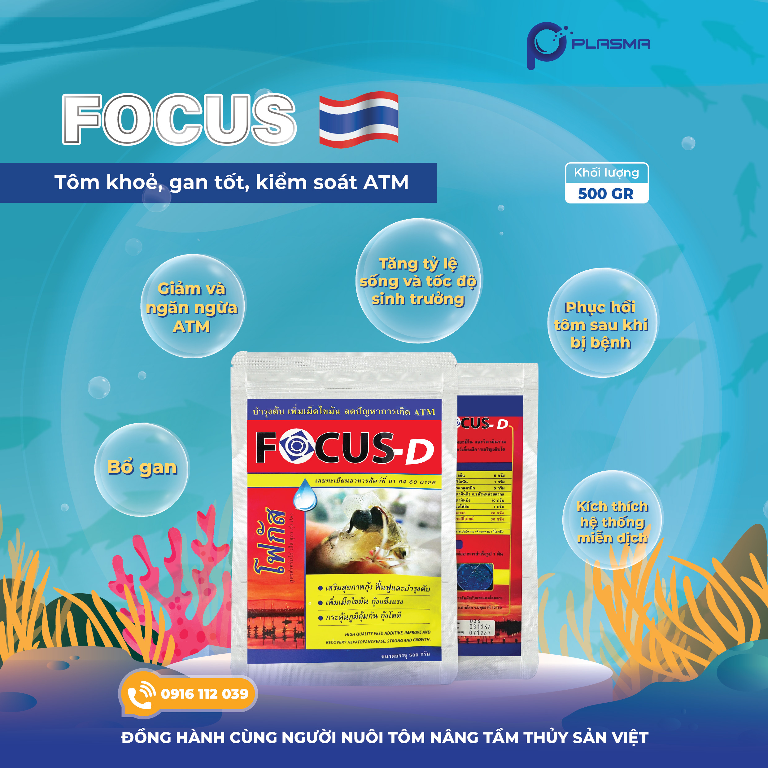 FOCUS D - Ảnh 3