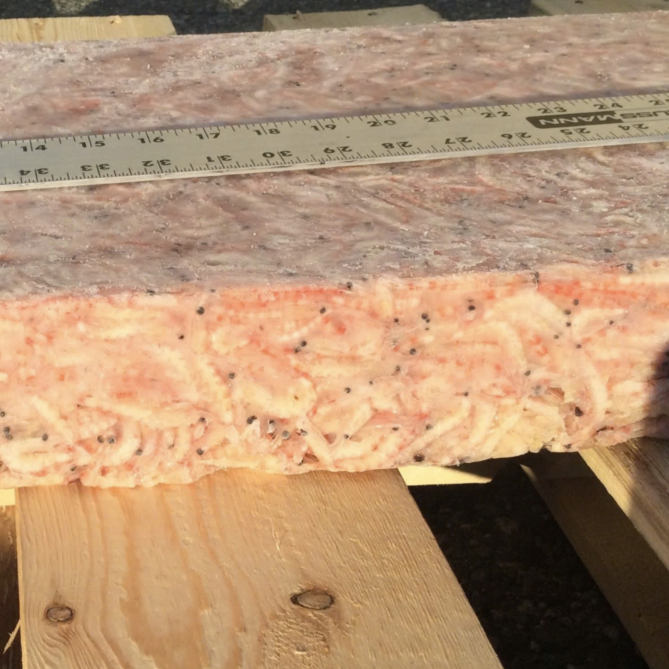 Ruốc Nam Cực - Ảnh 4