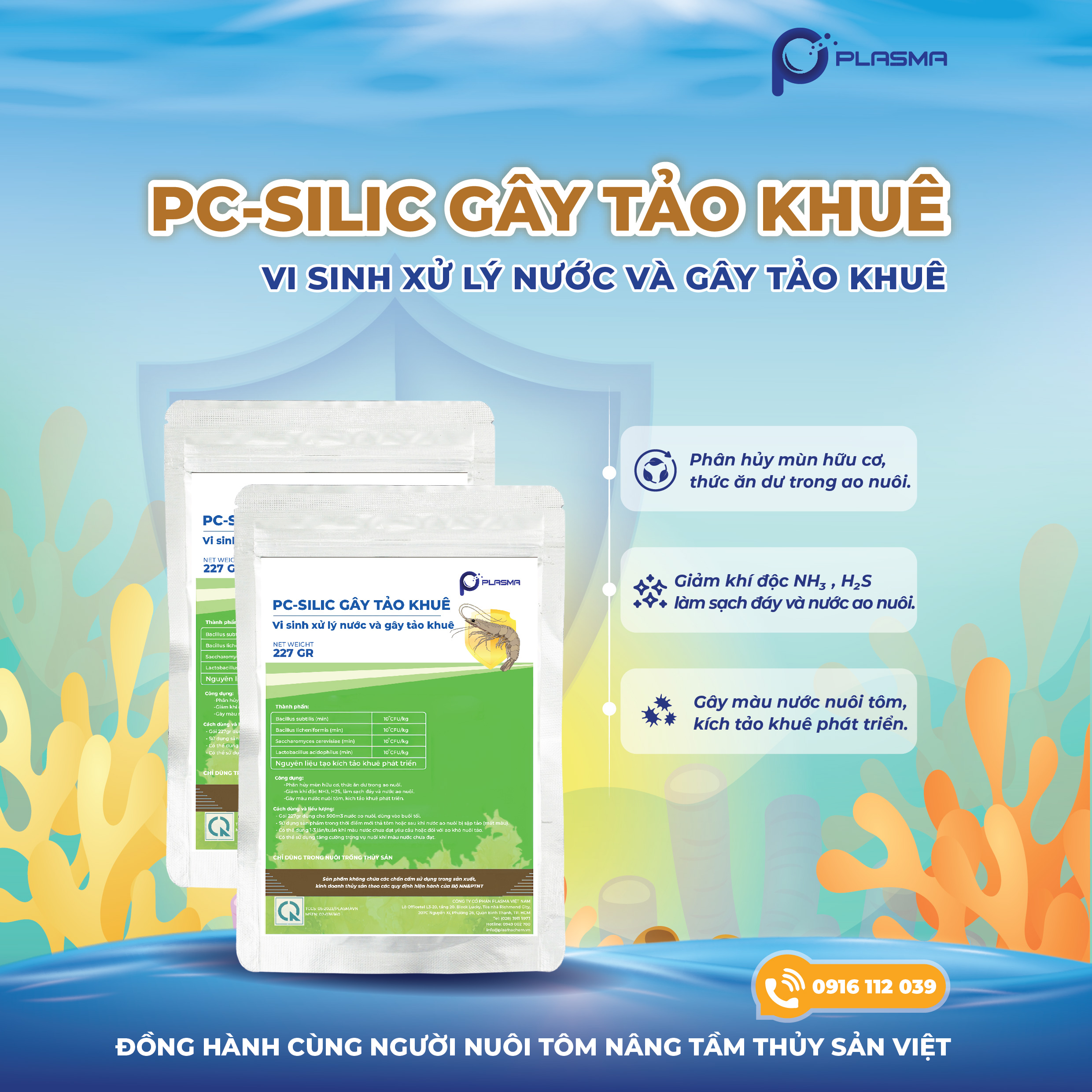 SILIC GÂY TẢO KHUÊ - Ảnh 5