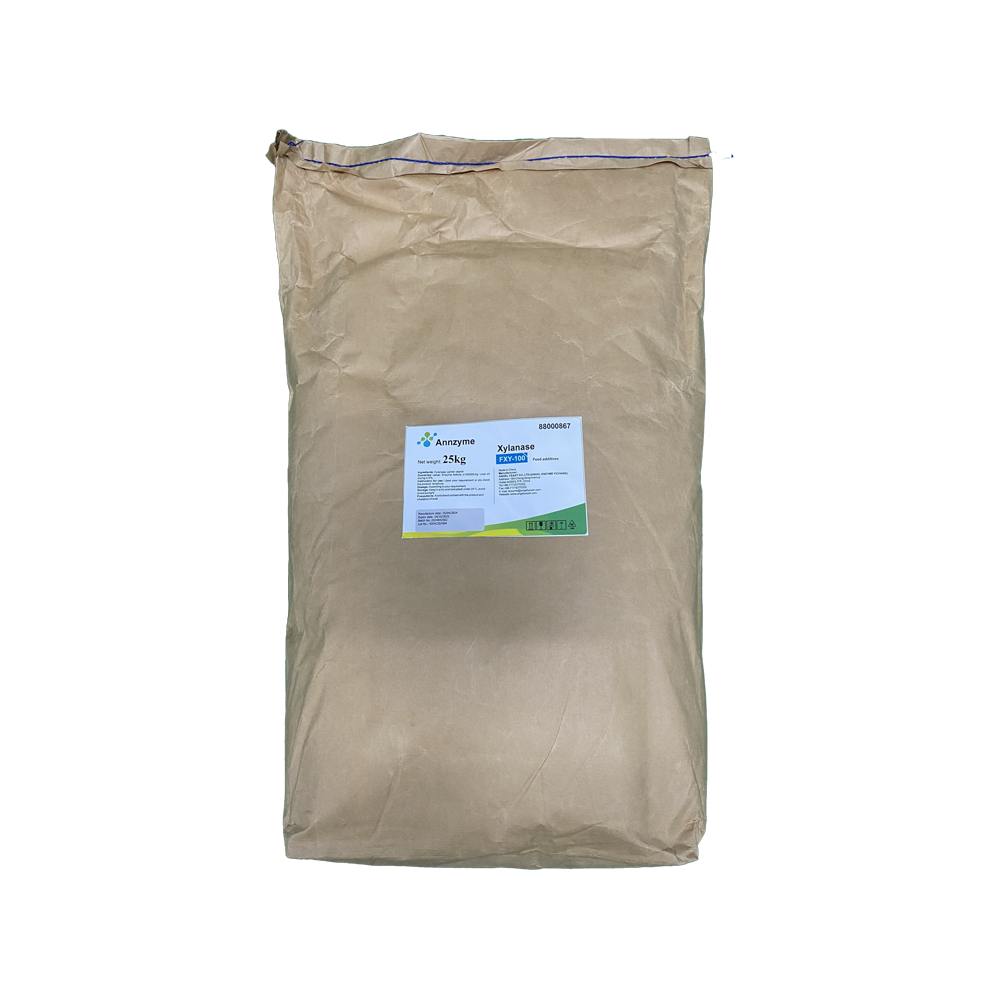 XYLANASE - Ảnh 3