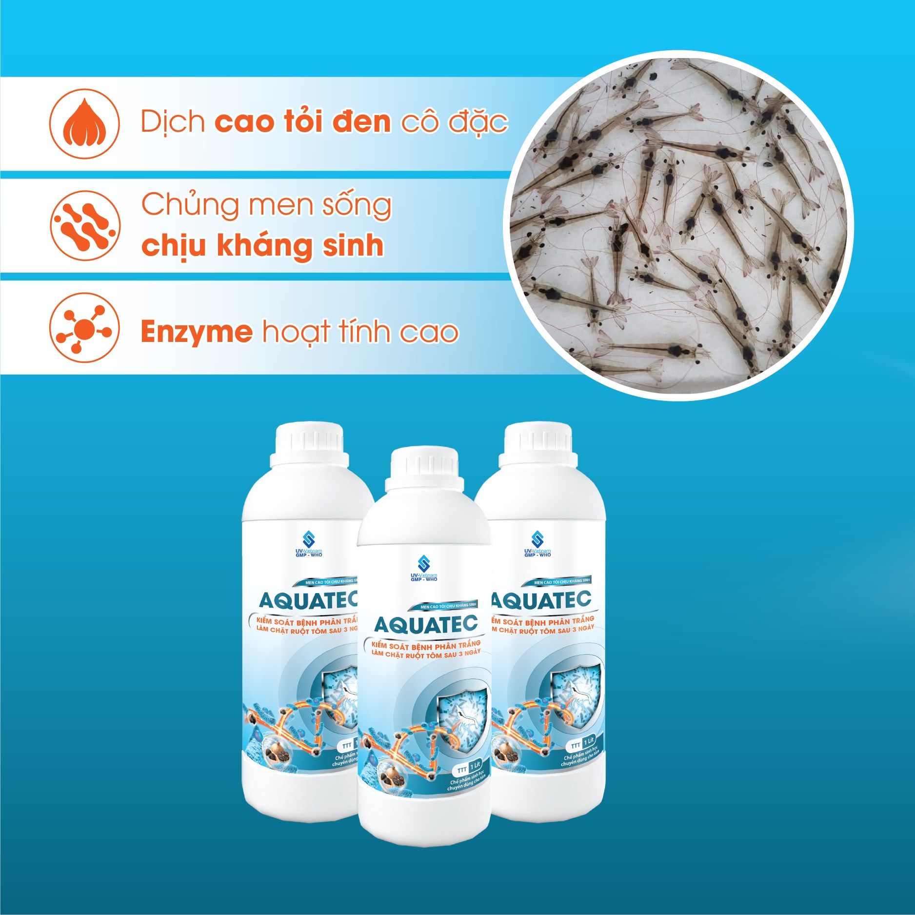 AQUATEC - Ảnh 2