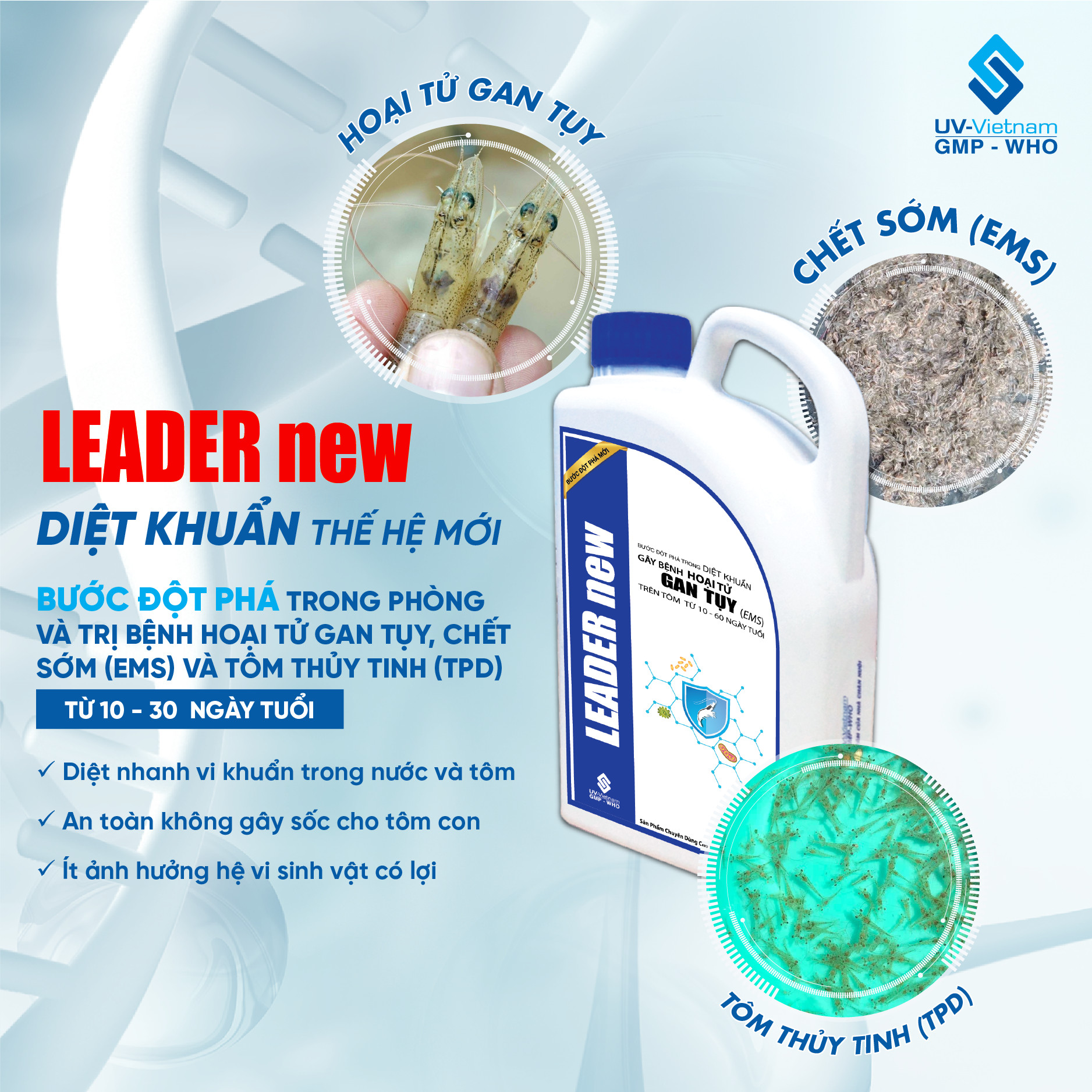 LEADER new - Ảnh 2