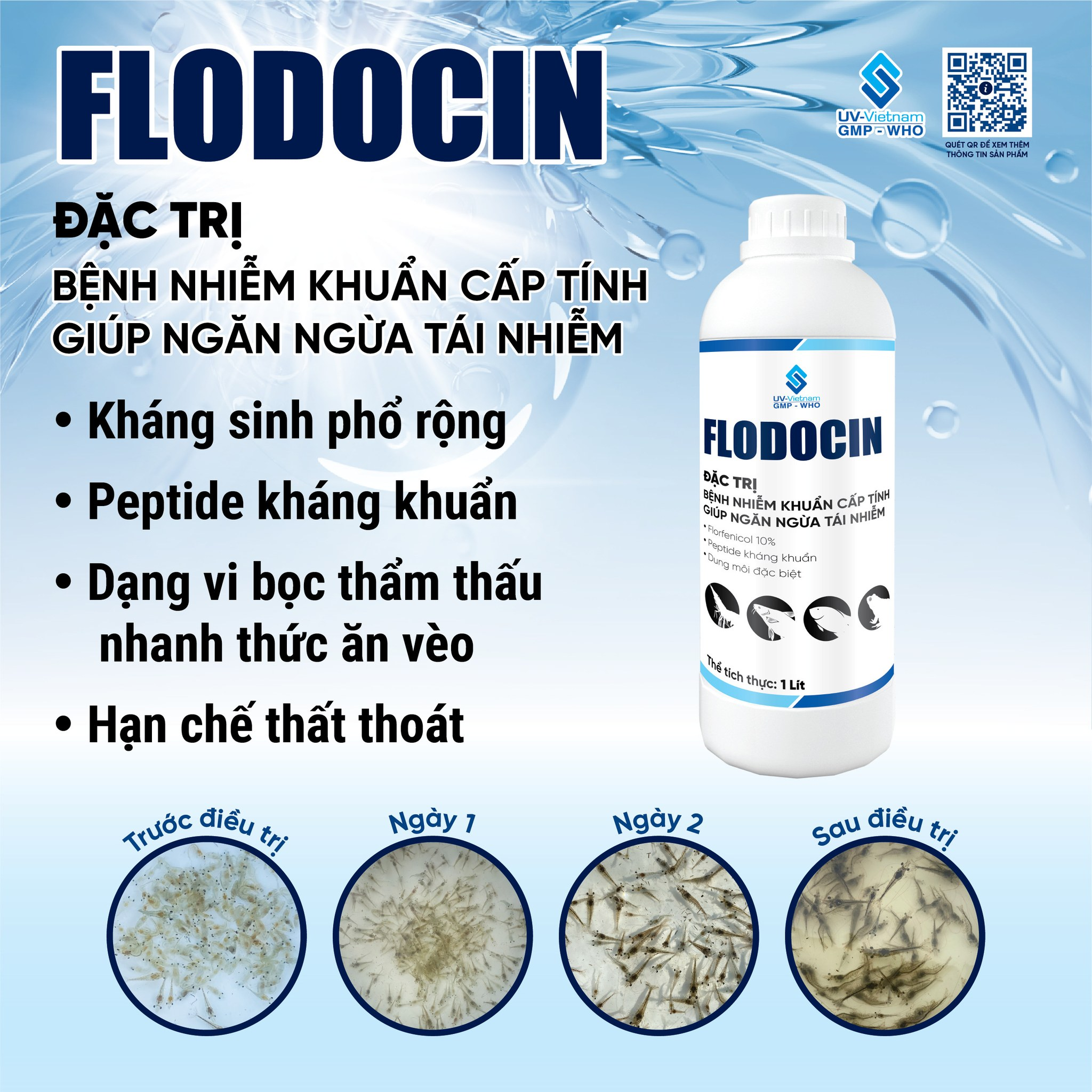 FLODOCIN - Ảnh 2