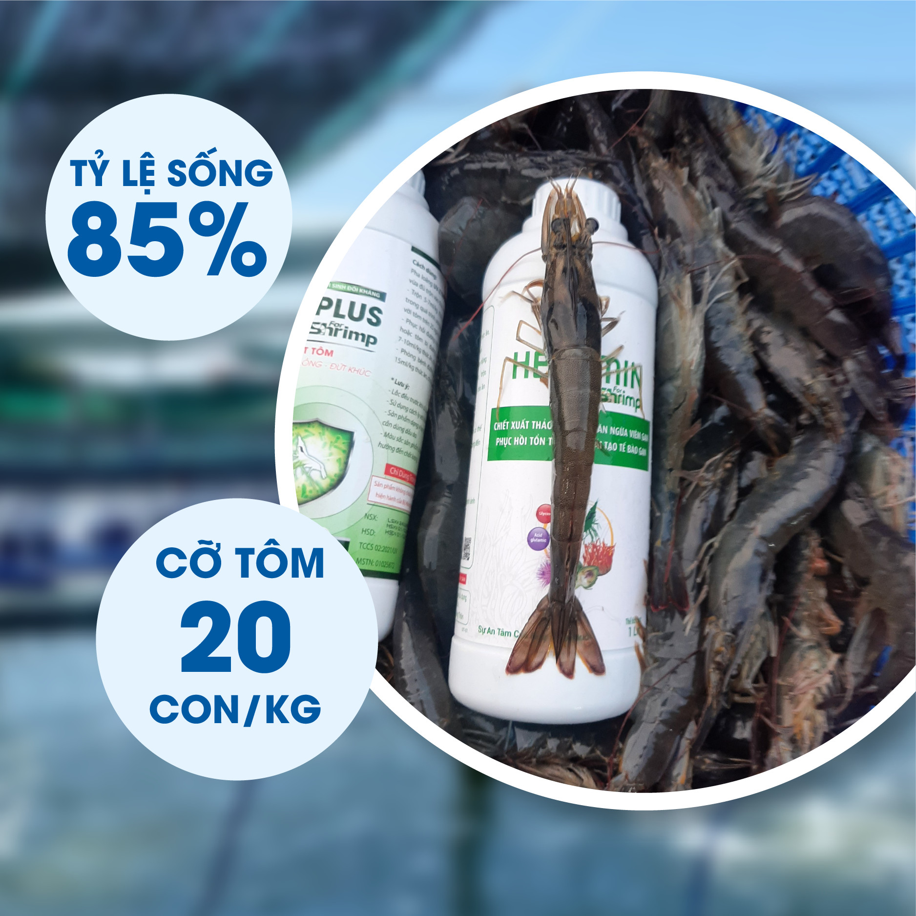 HEPAMIN for shrimp - Ảnh 2