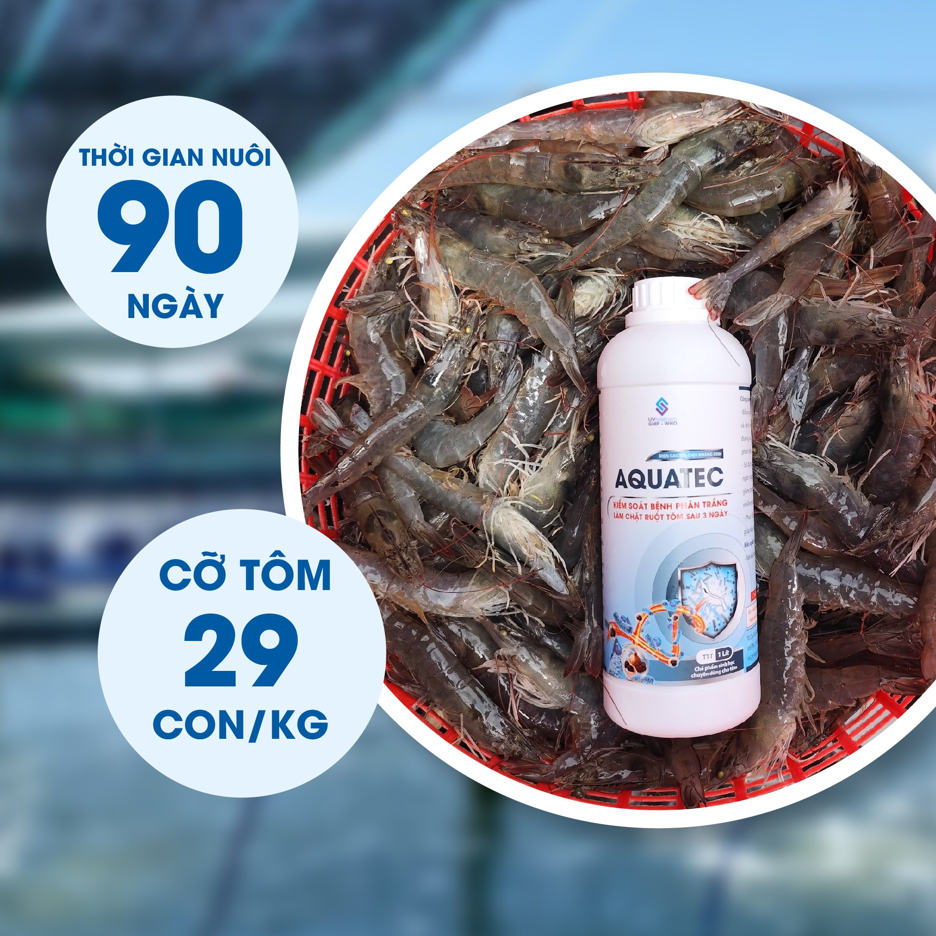 AQUATEC - Ảnh 3