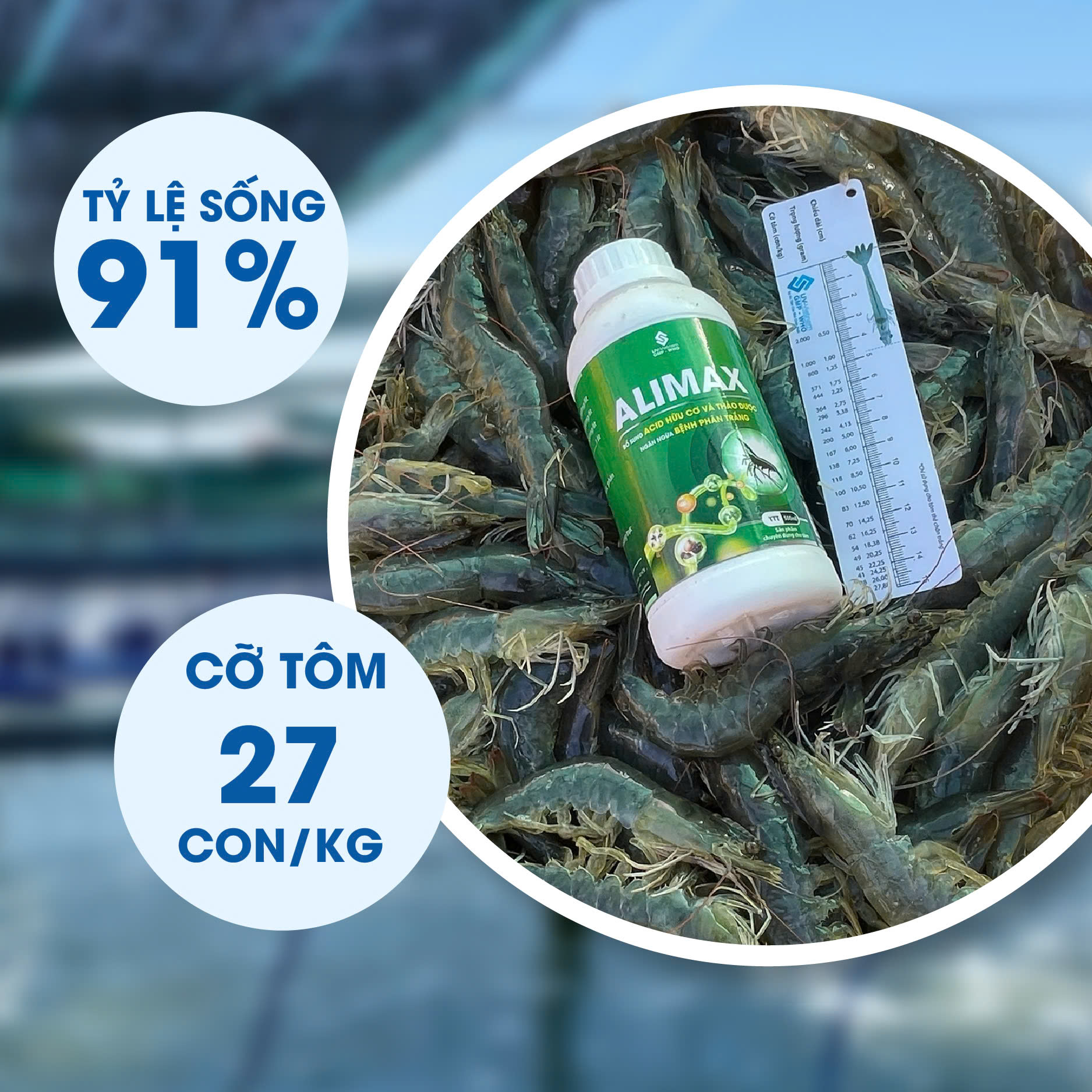 ALIMAX - Ảnh 3