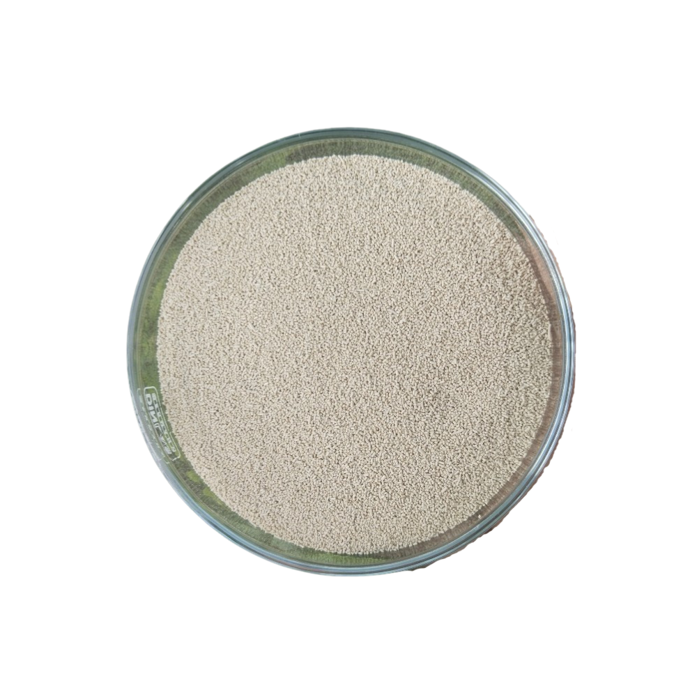 Saccharomyces Boulardii - Ảnh 3