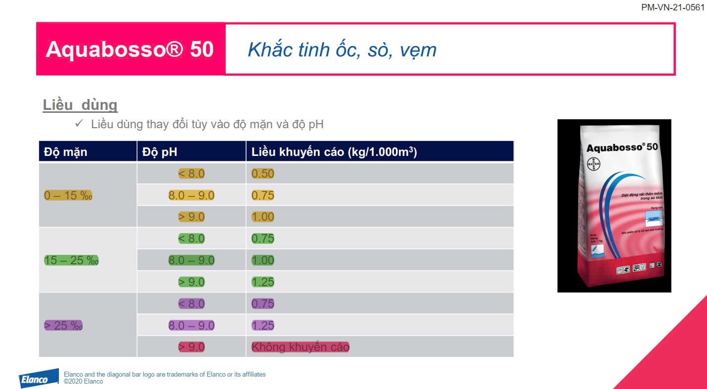 AQUA BOSSO - Ảnh 3