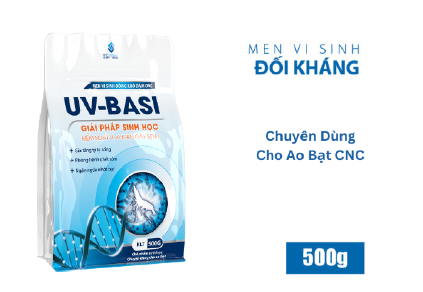 UV BASI - Ảnh 4