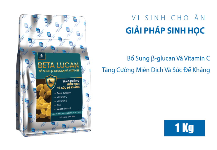 BETA LUCAN - Ảnh 4