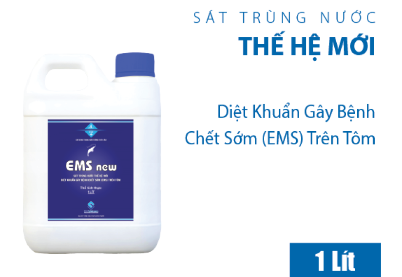 EMS new - Ảnh 4