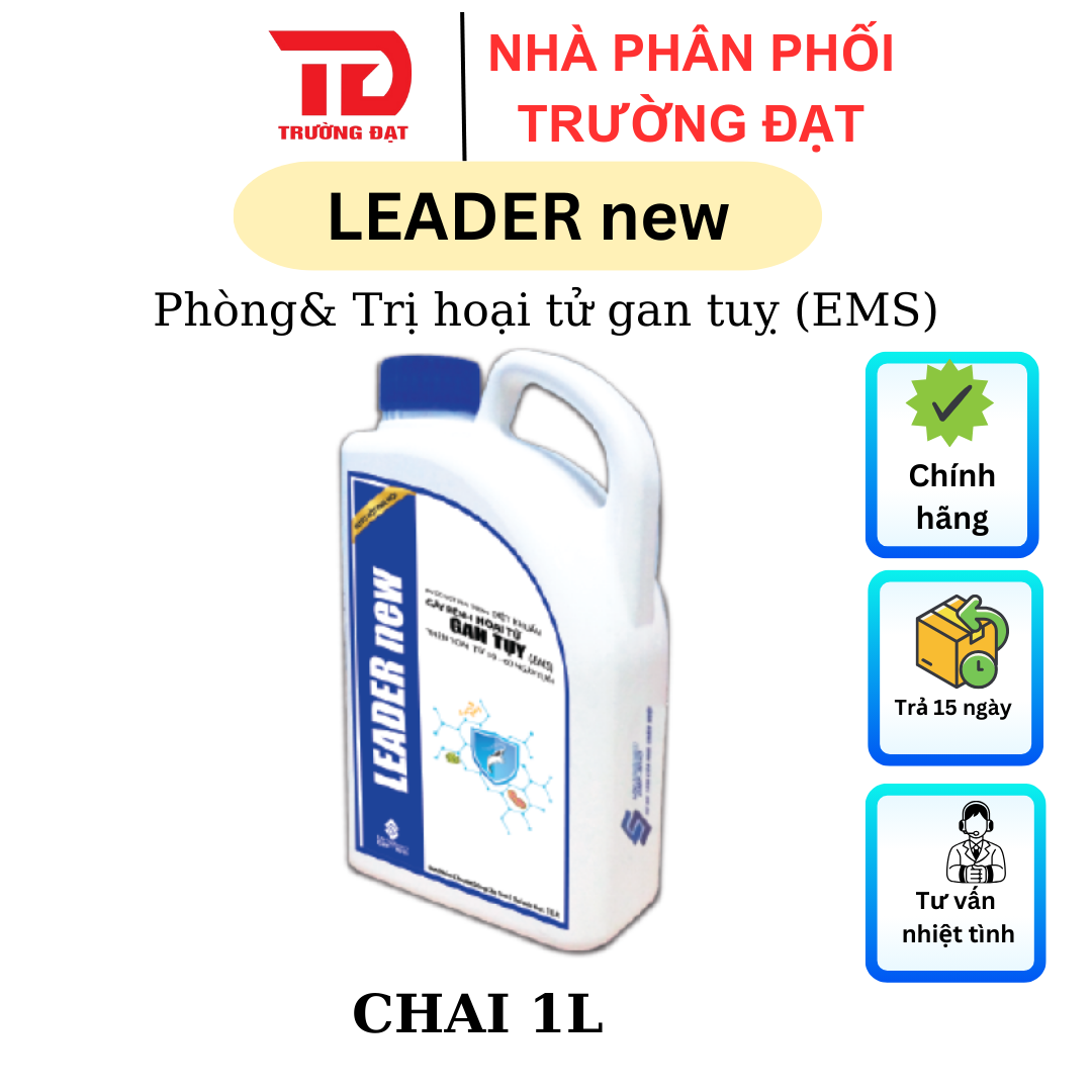 LEADER new - Ảnh 3