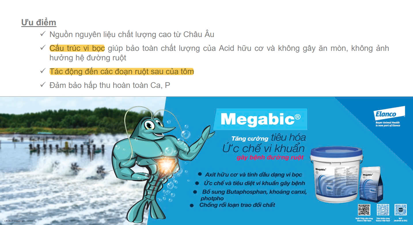 Megabic - Ảnh 3