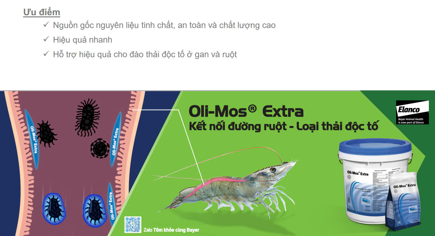 Oli-Mos - Ảnh 3