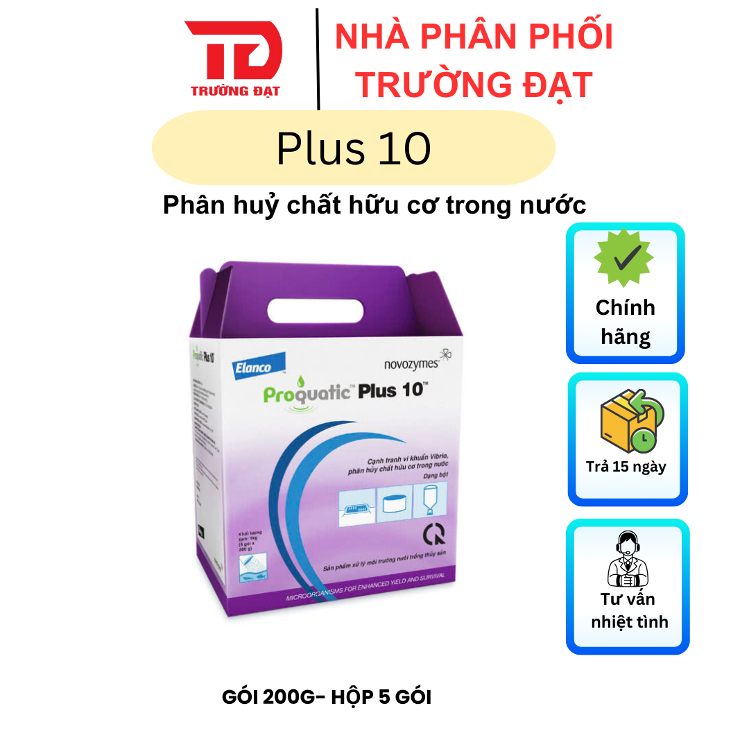 Plus 10 - Ảnh 5