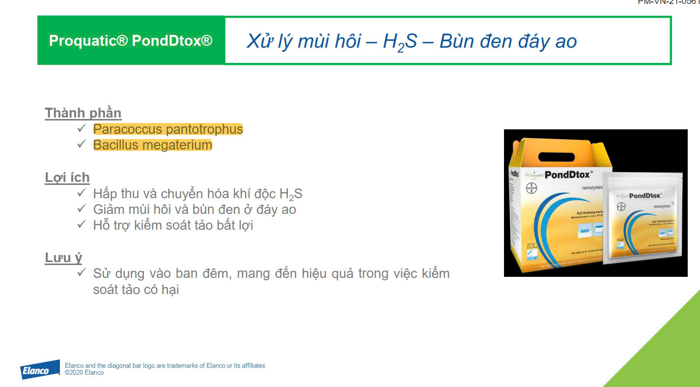 PondDtox - Ảnh 2