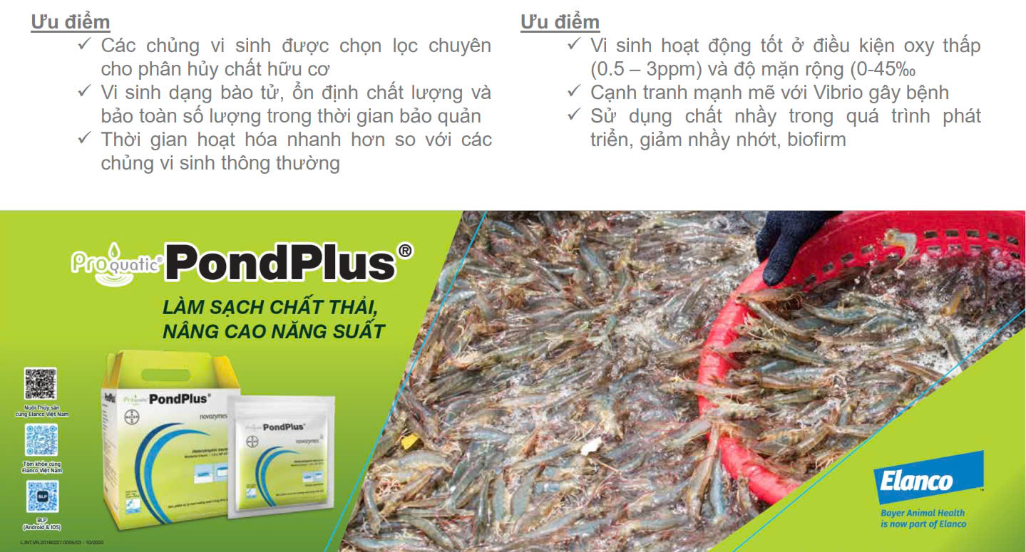 Pondplus - Ảnh 3