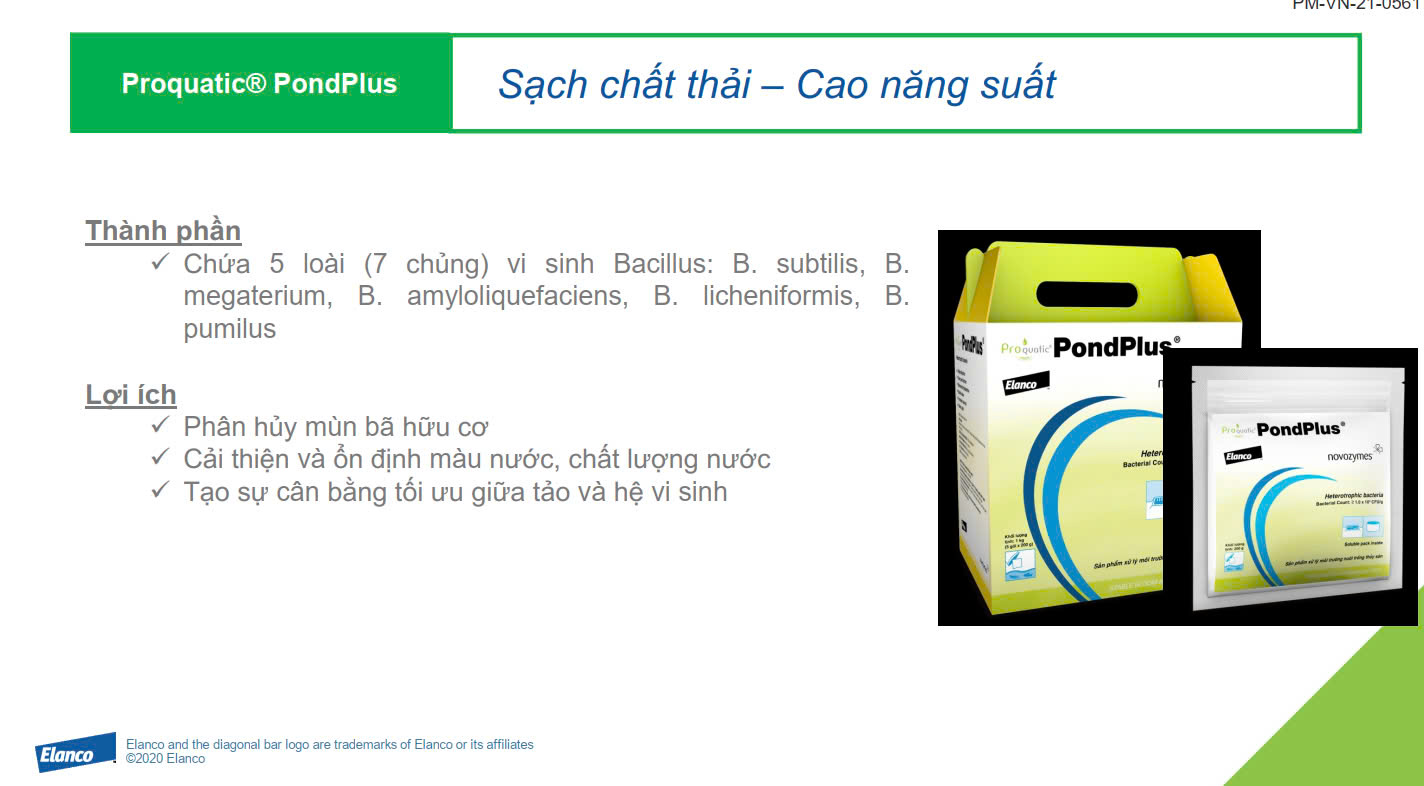 Pondplus - Ảnh 2