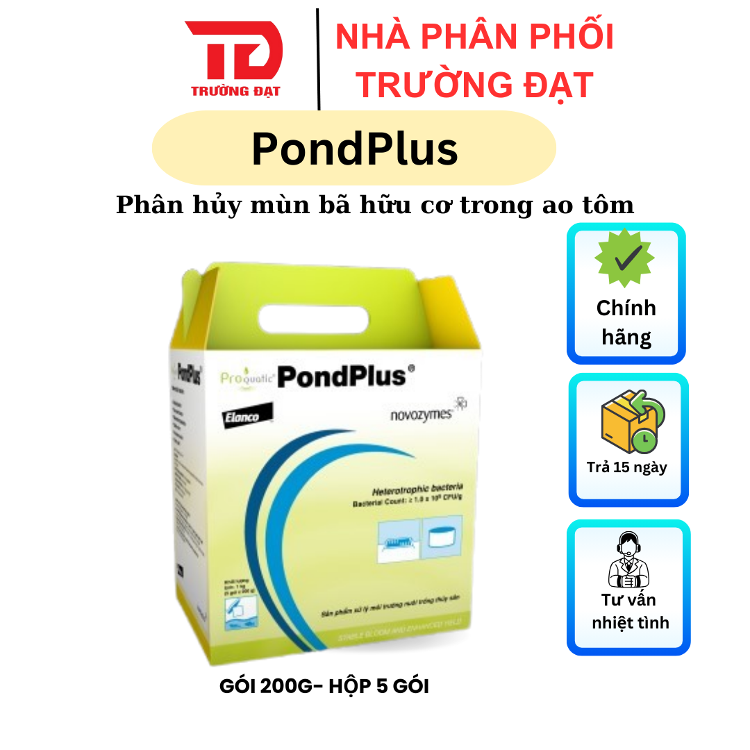 Pondplus - Ảnh 4