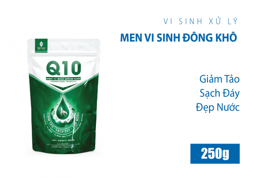 Q10 UV - Ảnh 3