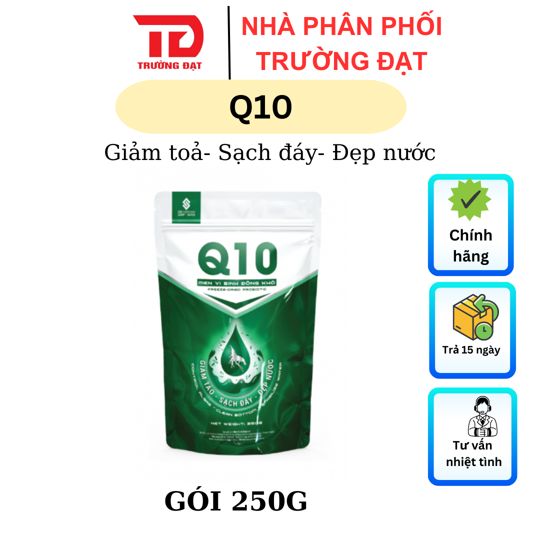 Q10 UV - Ảnh 2