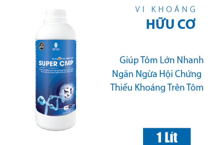 SUPER CMP - Ảnh 4